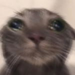 @Daniel4105